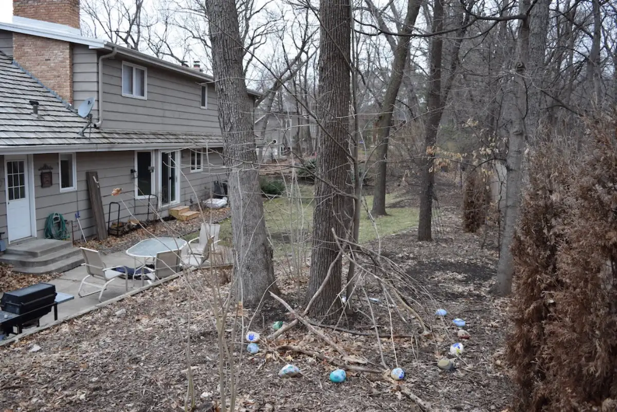 Before: Deephaven backyard before landscape redesign