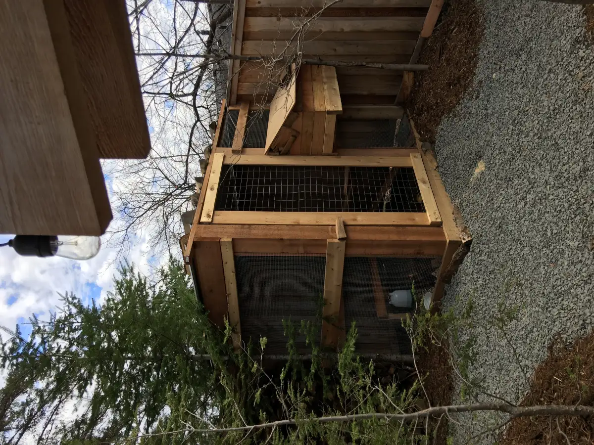 Cedar fence enclosing raised vegetable garden beds