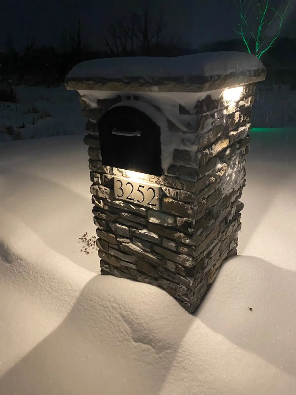 Professional landscape lighting highlighting patio and garden