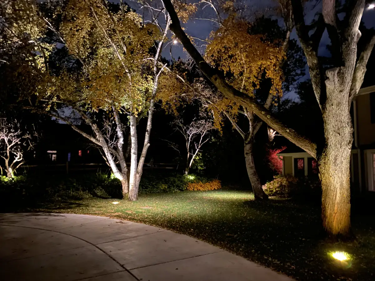 Low-voltage LED landscape lighting along retaining wall at dusk