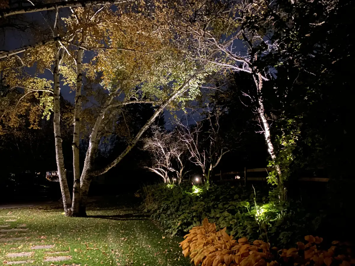 Uplighting on retaining wall and trees in Minnetonka
