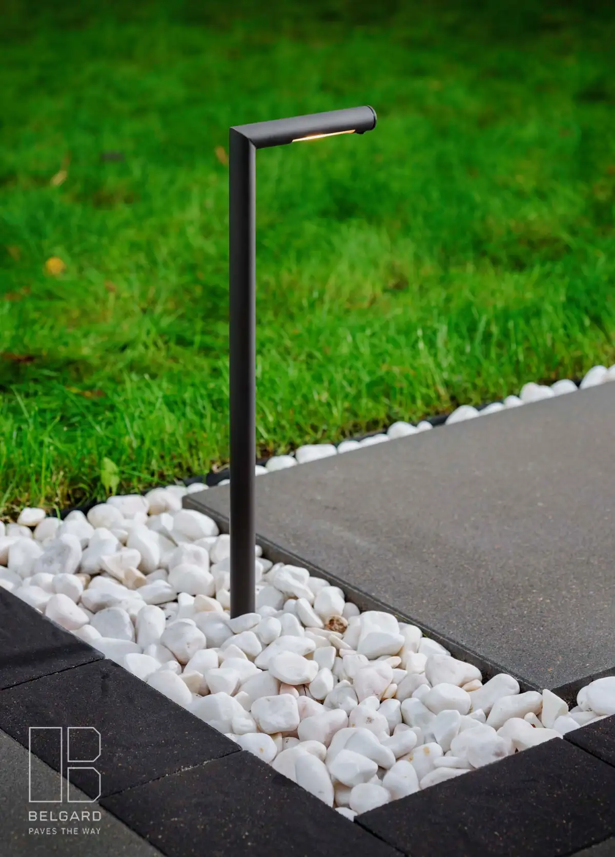 Uplighting on mature trees with path lights along walkway